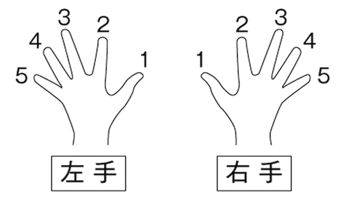 右手 左手指輪をはめる5本指のそれぞれの意味 Piko福井店のブログ